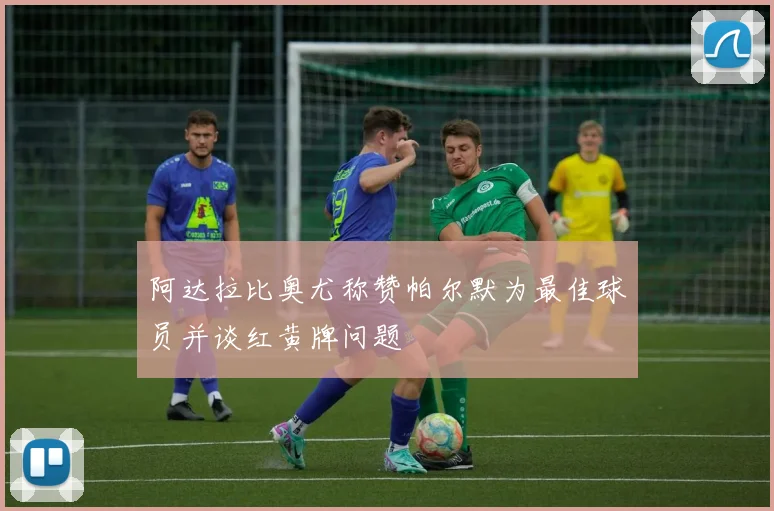 阿达拉比奥尤称赞帕尔默为最佳球员并谈红黄牌问题