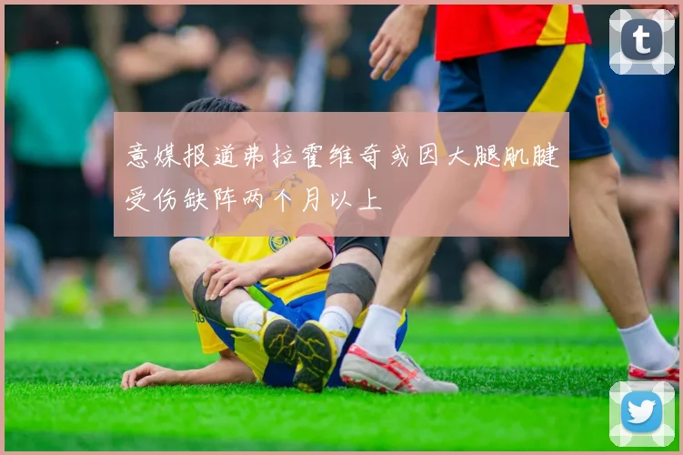 意媒报道弗拉霍维奇或因大腿肌腱受伤缺阵两个月以上